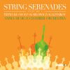 Download track Serenade In C Major, Op. 2 (1898): II. Romans. Andante Con Moto