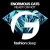 Download track Enormous Cats (Dub Mix)