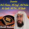 Download track Sourate Ach Chams (Hafs Muratal)