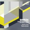 Download track Piano Trio No. 4 In E Minor ('Dumky'), B. 166 (Op. 90): IV. Andante Moderato - Allegretto Scherzando - Meno Mosso