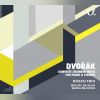 Download track Piano Trio No. 4 In E Minor ('Dumky'), B. 166 (Op. 90): III. Andante - Vivace Non Troppo - Andante