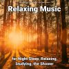 Download track Calming Relaxation Music To Make You Sleep Instantly