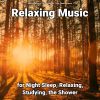 Download track Healing Music For Stress Relief