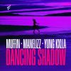 Download track Dancing Shadow (Instrumental)