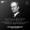 Download track Schubert: Symphony No. 8 In B Minor, D. 759 