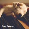 Download track Music For A Calm Hound, Pt. 7