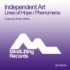 Download track Phenomena (Original Mix)