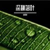 Download track 要活的像榴莲一样