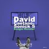 Download track Boogie Monster (David Caetano In The Red Zone Mix)