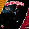 Download track Brazy Wood