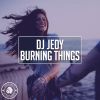 Download track Burning Things