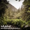 Download track Relaxing Hiking Trail Daytime Ambience, Pt. 10