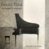 Download track In Perfect Silence (Solo Piano Version)