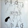 Download track Papa's Got A Brand New Pigbag