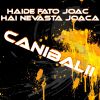 Download track Haide Fato Joacă, Hai Nevasta Joaca