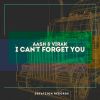 Download track I Can't Forget You (Original Mix)