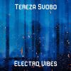 Download track Electro Vibes