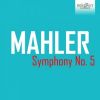 Download track Symphony No. 5: II. Stürmisch Bewegt, Mit Grösster Vehemenz (3)