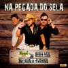 Download track Na Pegada Do Sela