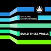 Download track Build These Walls (Original Mix)