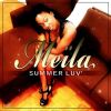 Download track Summer Luv 2013