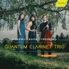 Download track Clarinet Trio In A Minor, Op. 114: III. Andantino Grazioso