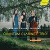 Download track Clarinet Trio In A Minor, Op. 114: II. Adagio