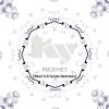 Download track Prophet (Kyodai Remix Delfonic Edit)