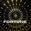 Download track Fortune