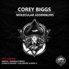 Download track Molecular Assemblers (Djonah Laforge Remix)