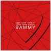 Download track Cry Cry Heart (Mister Sam & Alex Hunt Tropical Mix)