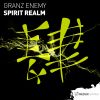 Download track Spirit Realm (Original Mix)