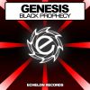 Download track Black Prophecy (Original Mix)