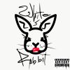 Download track White Rabbit