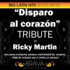 Download track Disparo Al Corazon (In The Style Of Ricky Martin) [Instrumental Version]