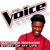 Download track Story Of My Life (The Voice Performance)