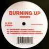 Download track Burning Up (Charles Webster Remix)