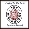 Download track Crying In The Rain