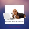 Download track Smooth Music For Dogs, Series 8