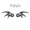 Download track Tribalis