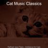 Download track Soulful Ambiance For Cute Cats