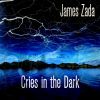 Download track Cries In The Dark (Acoustic Version)