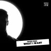 Download track What I Want (Tribe Mix)