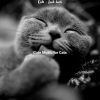 Download track Dream Like (Sleeping Cats)