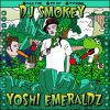 Download track Yoshi Emeraldz