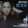 Download track Try To Fly (Nookie Mix)