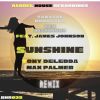 Download track Sunshine (Max Palmer Remix)