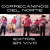 Download track Presentación Del Grupazazaso Correcaminos Del Norte