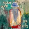 Download track Living In Reverse