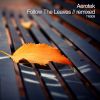 Download track Follow The Leaves (Aero'S Heat Seeking Remix)